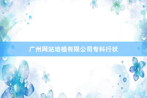 广州网站培植有限公司专科行状