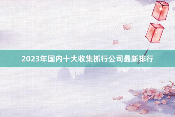 2023年国内十大收集抓行公司最新排行