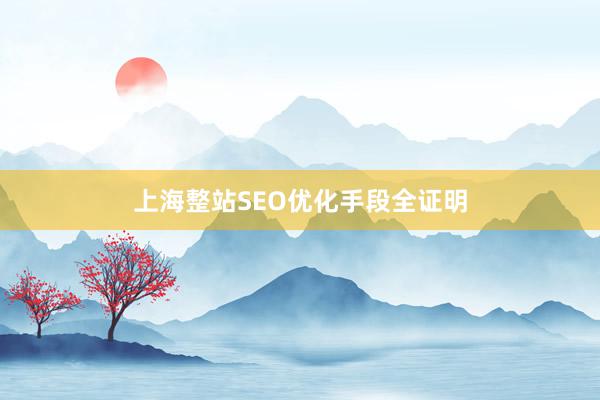 上海整站SEO优化手段全证明